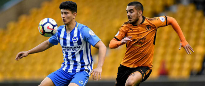 Brighton & Hove Albion vs Wolverhampton Wanderers Prediction 27 October 2018