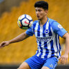 Brighton & Hove Albion vs Wolverhampton Wanderers Prediction 27 October 2018