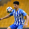 Wolverhampton Wanderers vs Brighton and Hove Albion Prediction 20 April 2019