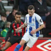 Bournemouth vs Brighton Prediction 21 January 2020