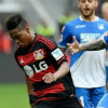 Bayer Leverkusen vs Hoffenheim Prediction 22 October 2016