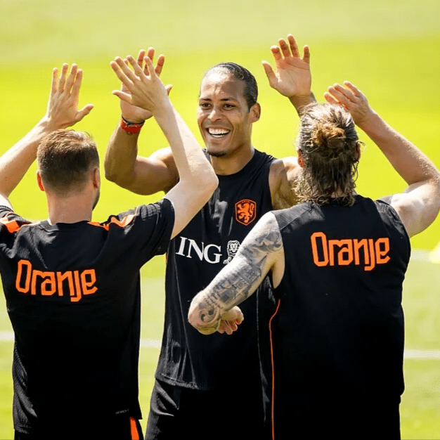 Netherlands vs Japan Prediction 14 June 2026