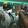 Bet365 6 Horses Challenge: Win Free Bets & Cash